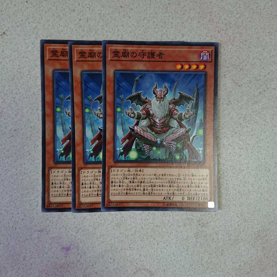 霊廟の守護者 N