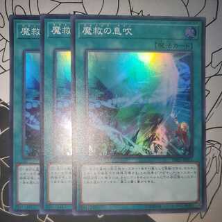 Adamancipator Signs Set of 3 Adamacia Signs