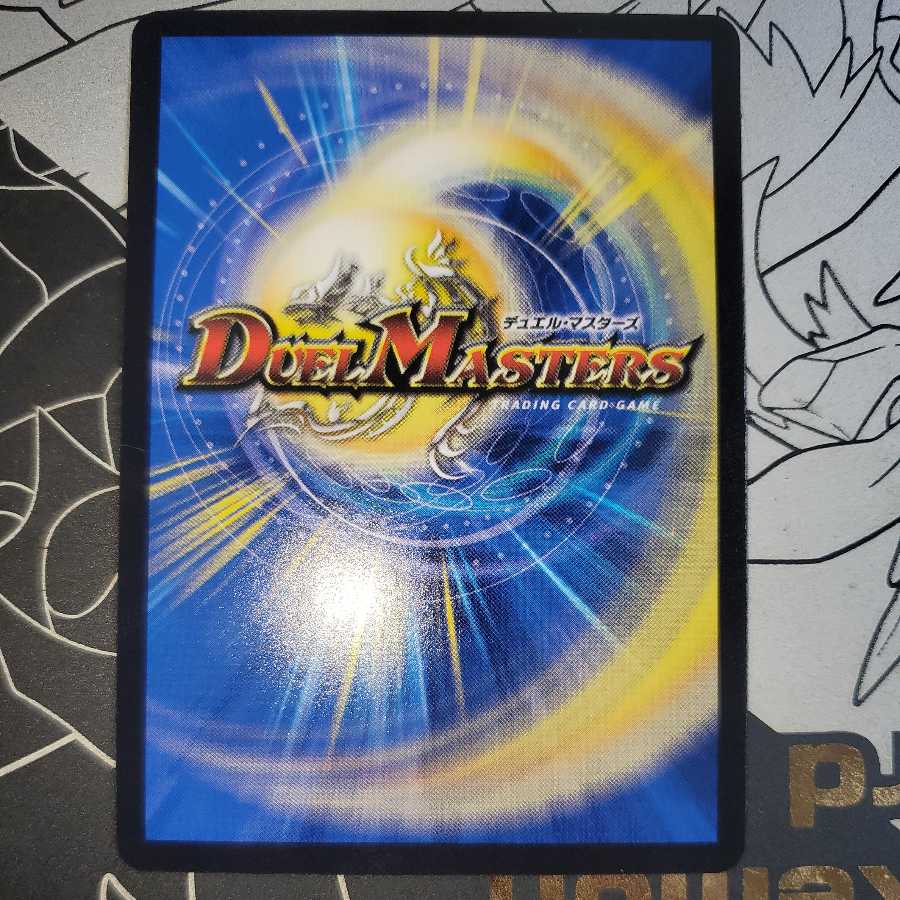 Chains of My Anger Panther Bear