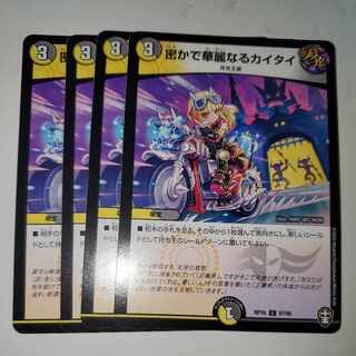 Covert and Splendid Kaitai 4-Piece Set