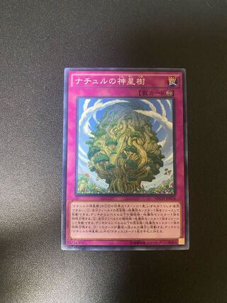 Naturia Sacred Tree Normal JP076