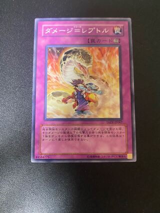 ダメージ=レプトル ノーマル JP067