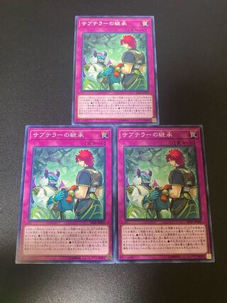 Subterror Succession Normal JP040