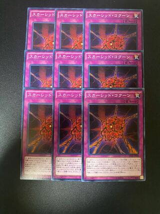 スカーレッド・コクーン ノーマル JP026