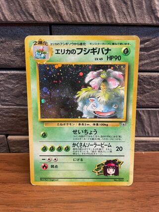 Erika's Venusaur Old Back
