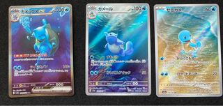 Blastoiseex SAR 202/165