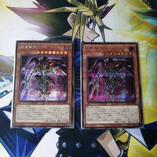 暗黒騎士ガイアソルジャー シク2枚セット