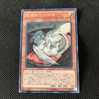 破壊剣士の伴竜 R