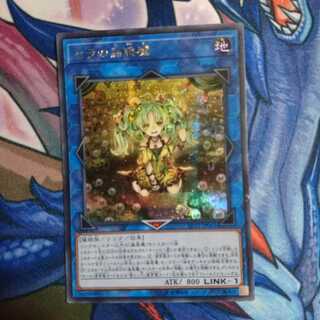 セラのこあくま シク 1枚