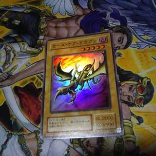 カースオブドラゴン