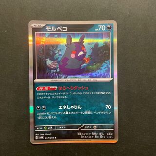 モルペコ R 051/066