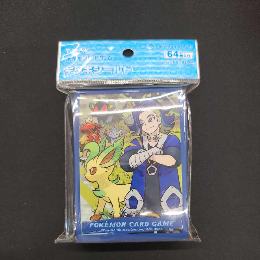 Summary HISUI DAYS Seki Deck Shield