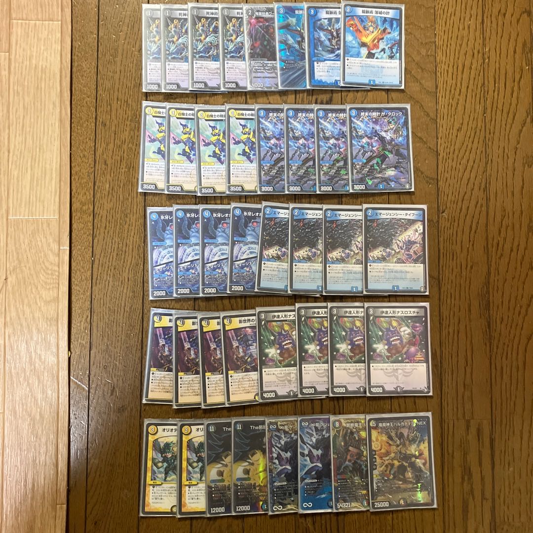 ドロマー墓地退化