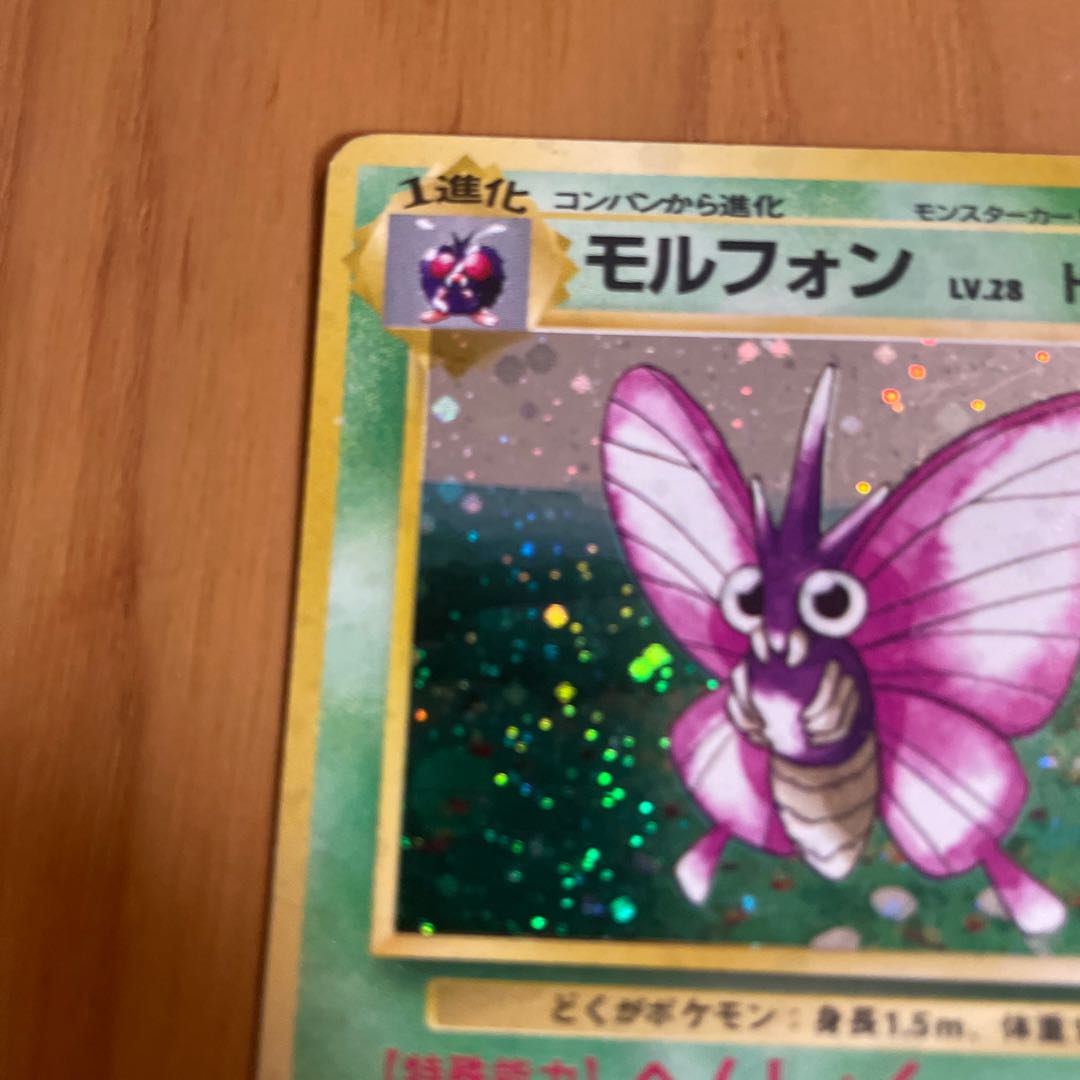 モルフォン　旧裏　ジャングル 1枚