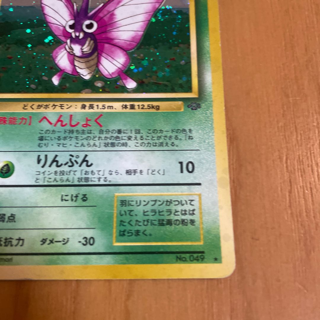 モルフォン　旧裏　ジャングル 1枚