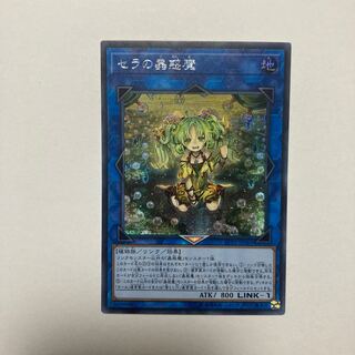 蟲惑魔 シークレット」の激安通販 | magi