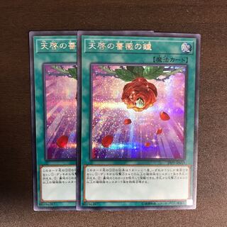 天啓の薔薇の鐘 SE 2枚