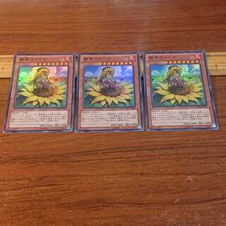 Mariña, Princess of Sunflowers Super Rare JP040 3 copies