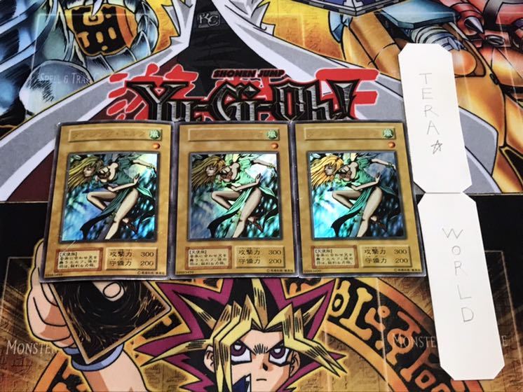 とも様 専用 1枚