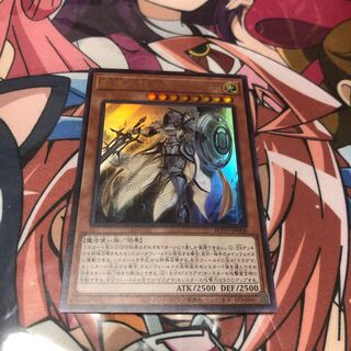 教導の騎士フルルドリス