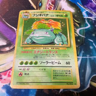 Venusaur 003