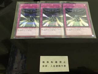 身代わりの闇 シークレット ３枚