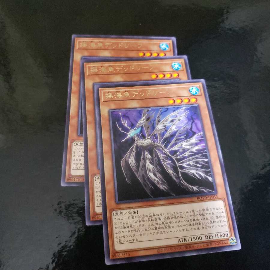 揺海魚デッドリーフ R