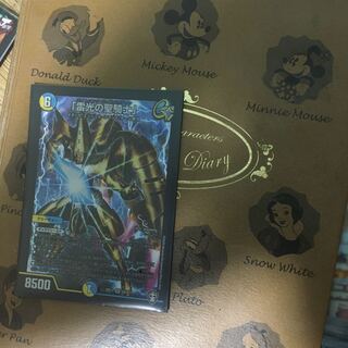 「雷光の聖騎士」