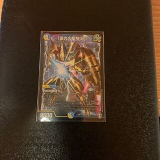 「雷光の聖騎士」