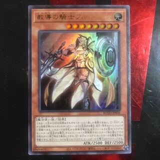 教導の騎士フルルドリス