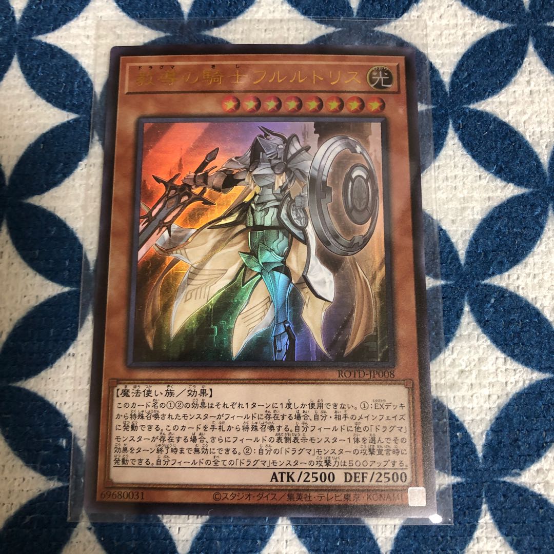 教導の騎士フルルドリス