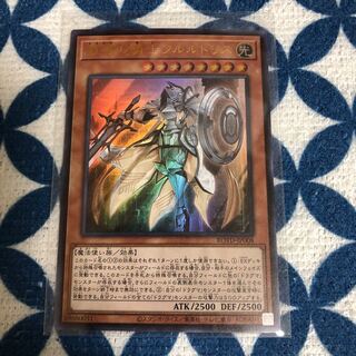 教導の騎士フルルドリス