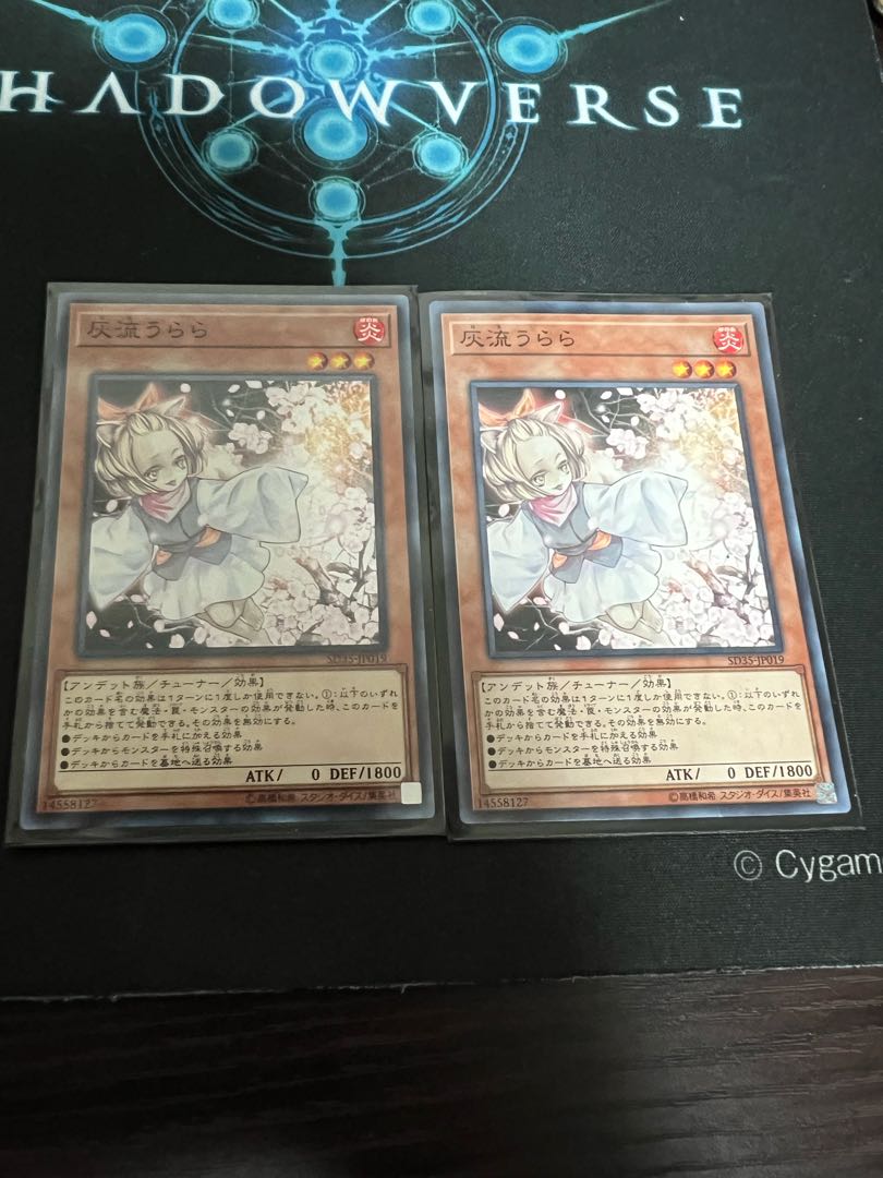 Ash Blossom & Joyous Spring Normal JP019