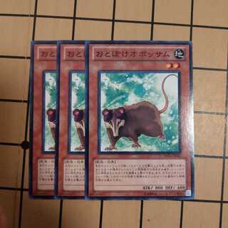 おとぼけオポッサム