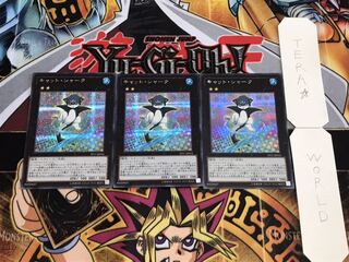 キャット・シャーク シークレット 3枚セット