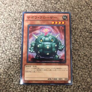 Cactus Bouncer Normal JP035