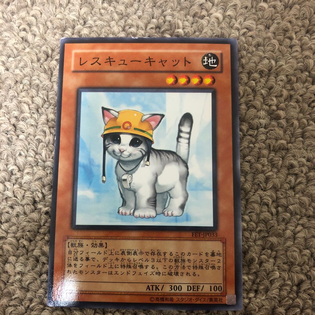 Rescue Cat Normal JP153