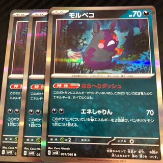 モルペコ R 051/066