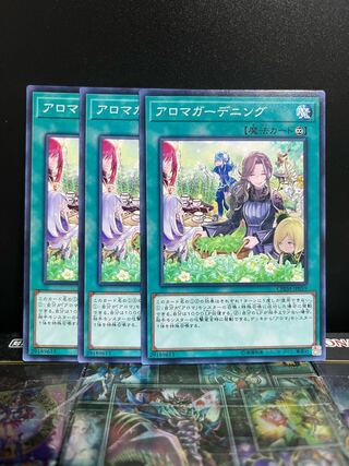 遊戯王スタジオ 6701 アロマガーデニング ノーマル JP059