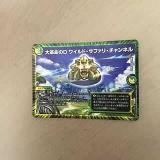 大革命のD ワイルド・サファリ・チャンネル