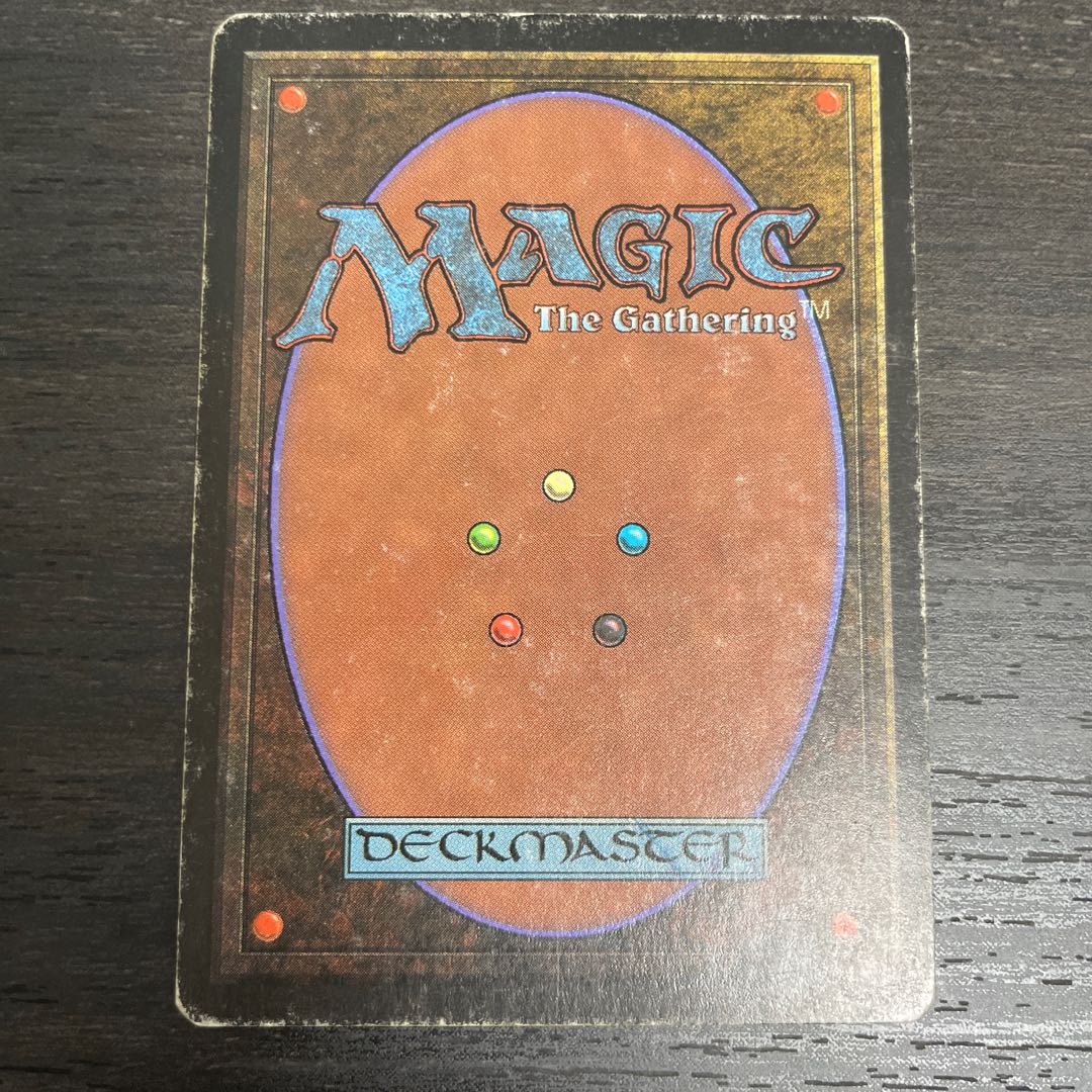 Savannah Lions/Savannah Lions LEB