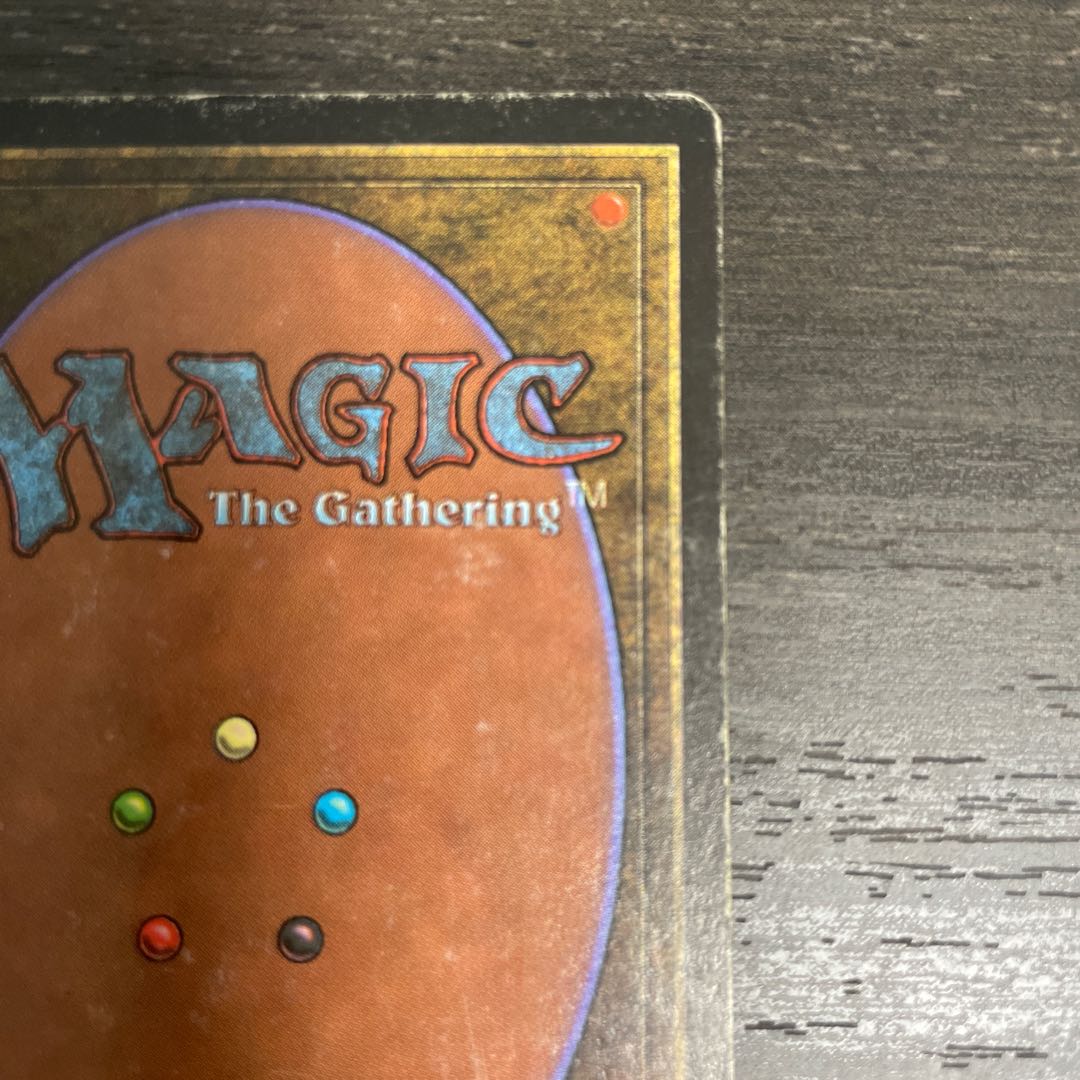 Savannah Lions/Savannah Lions LEB