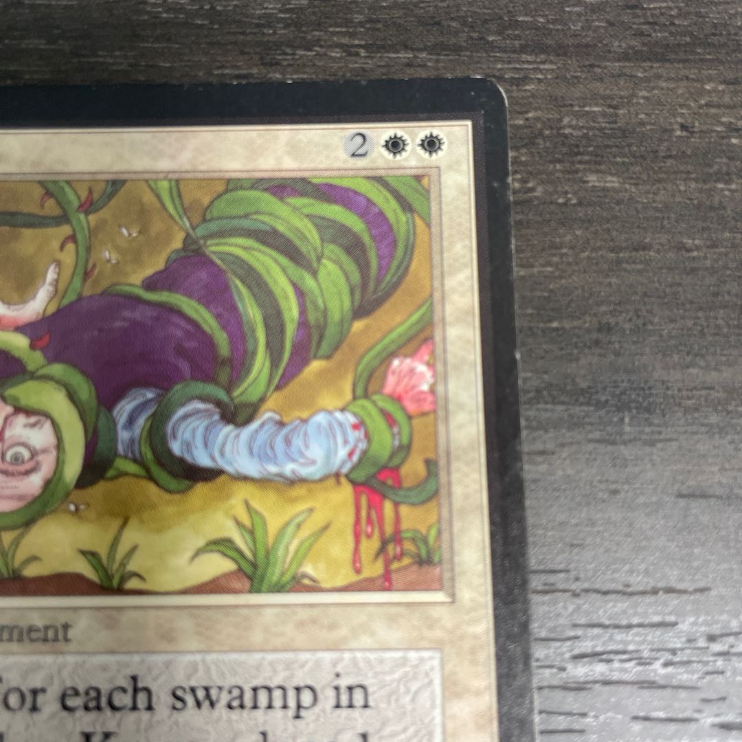 因果応報/Karma LEB