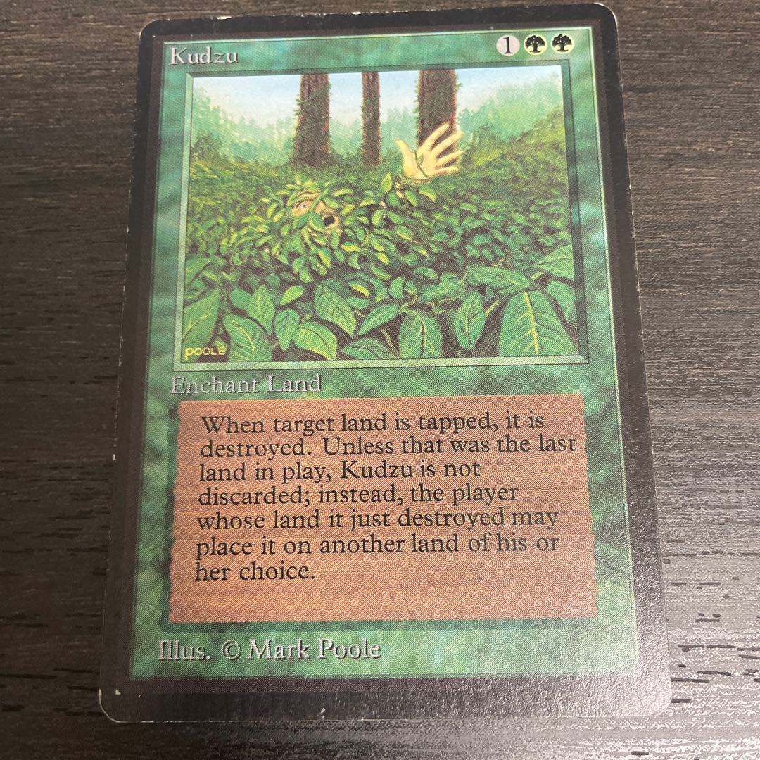 Kudzu LEB surface dents 1枚