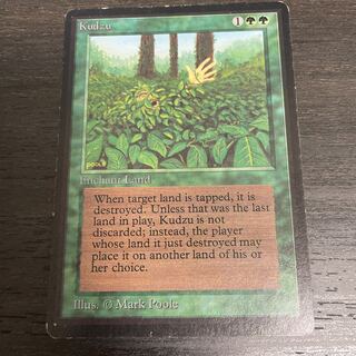 Kudzu LEB surface dents 1枚