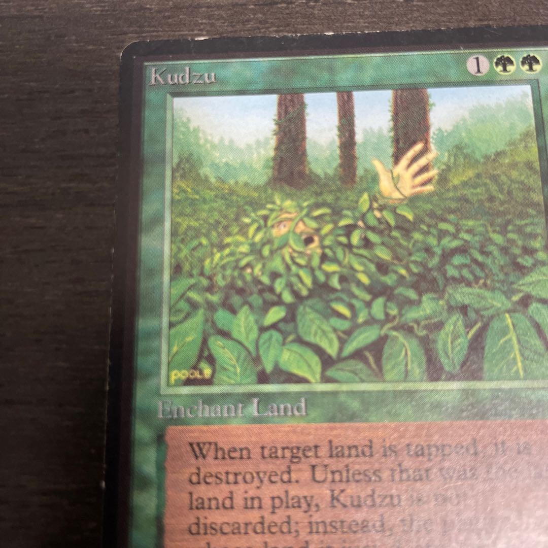 Kudzu LEB surface dents 1枚