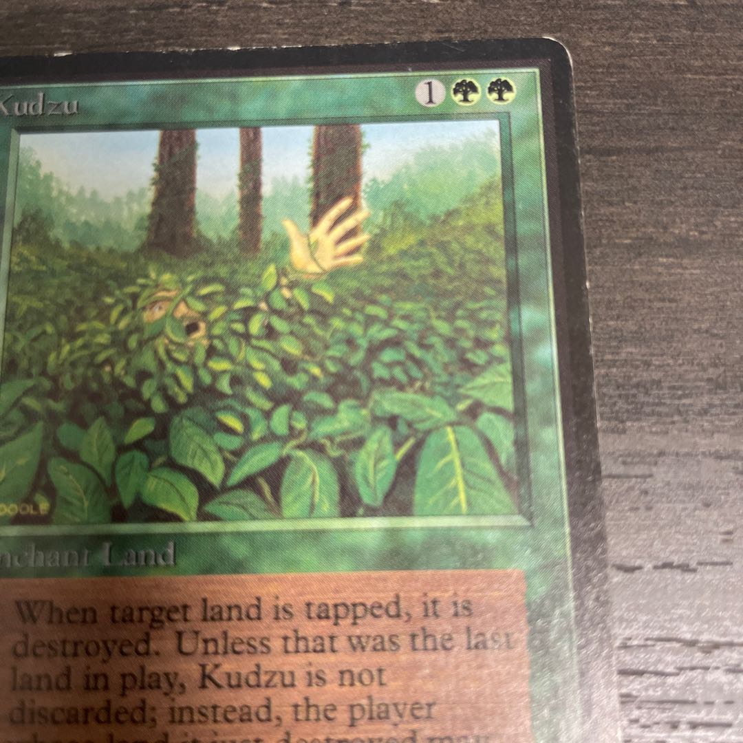 Kudzu LEB surface dents 1枚