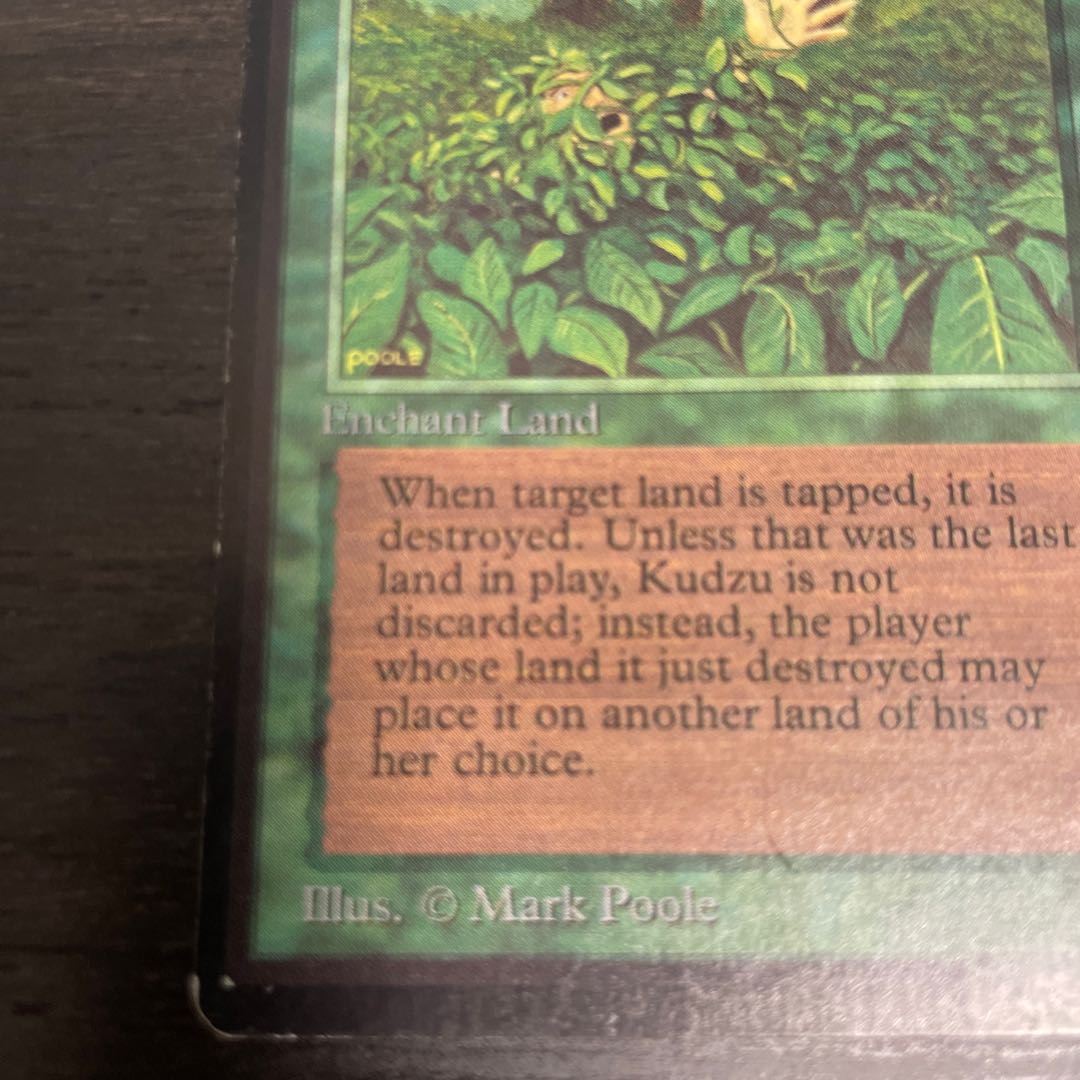 Kudzu LEB surface dents 1枚