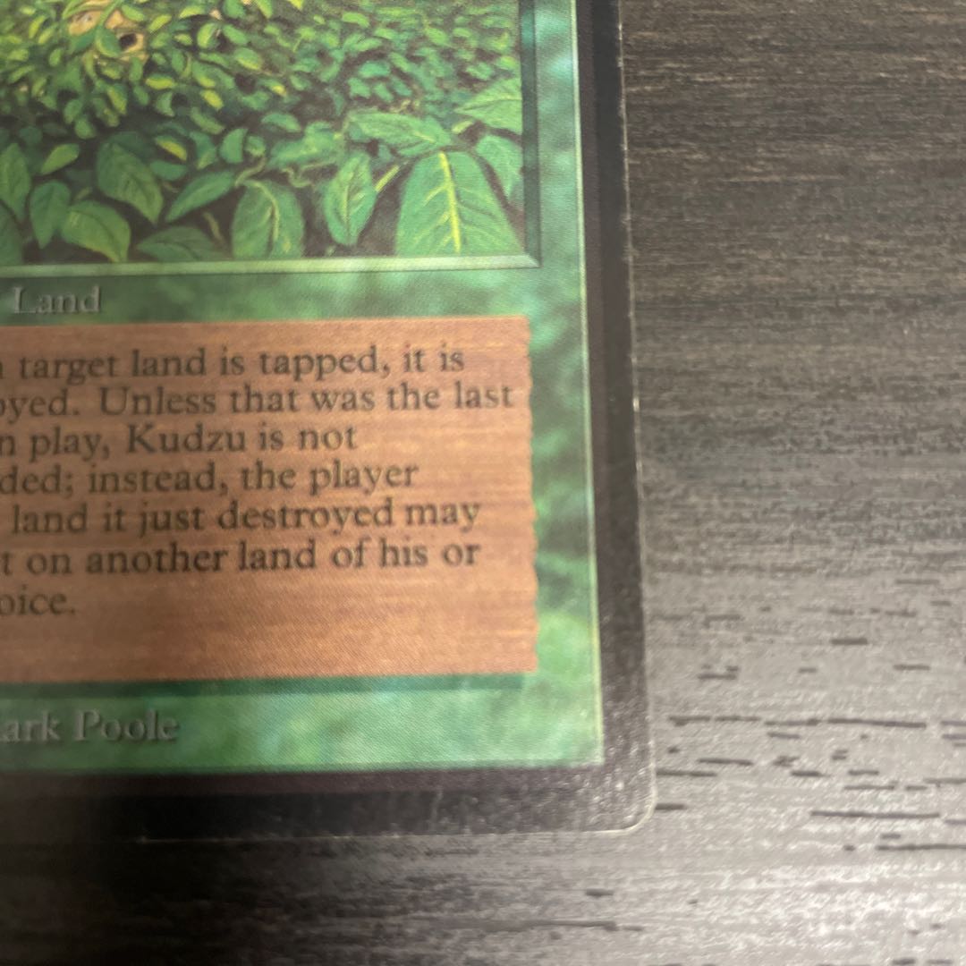 Kudzu LEB surface dents 1枚