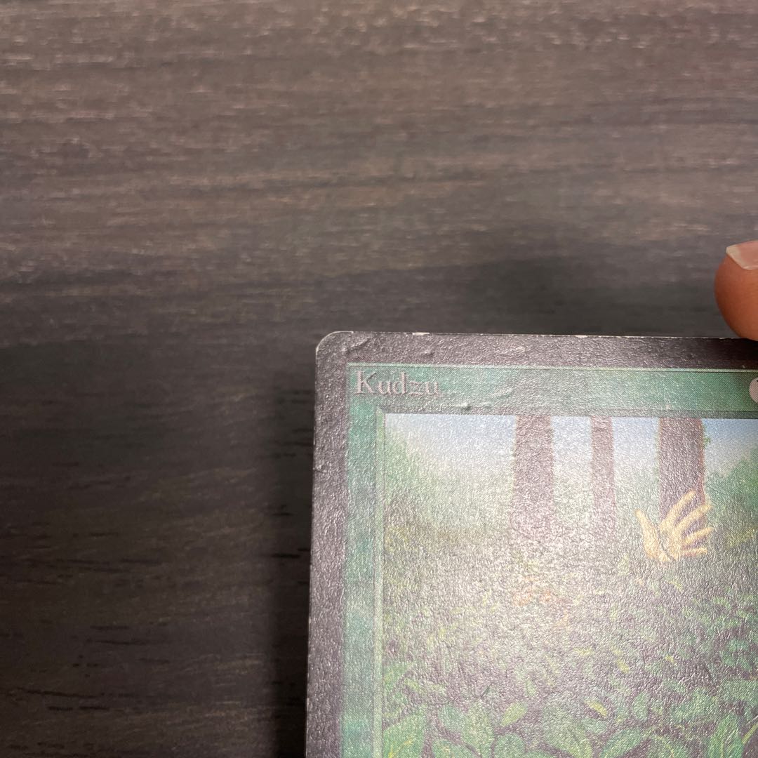 Kudzu LEB surface dents 1枚